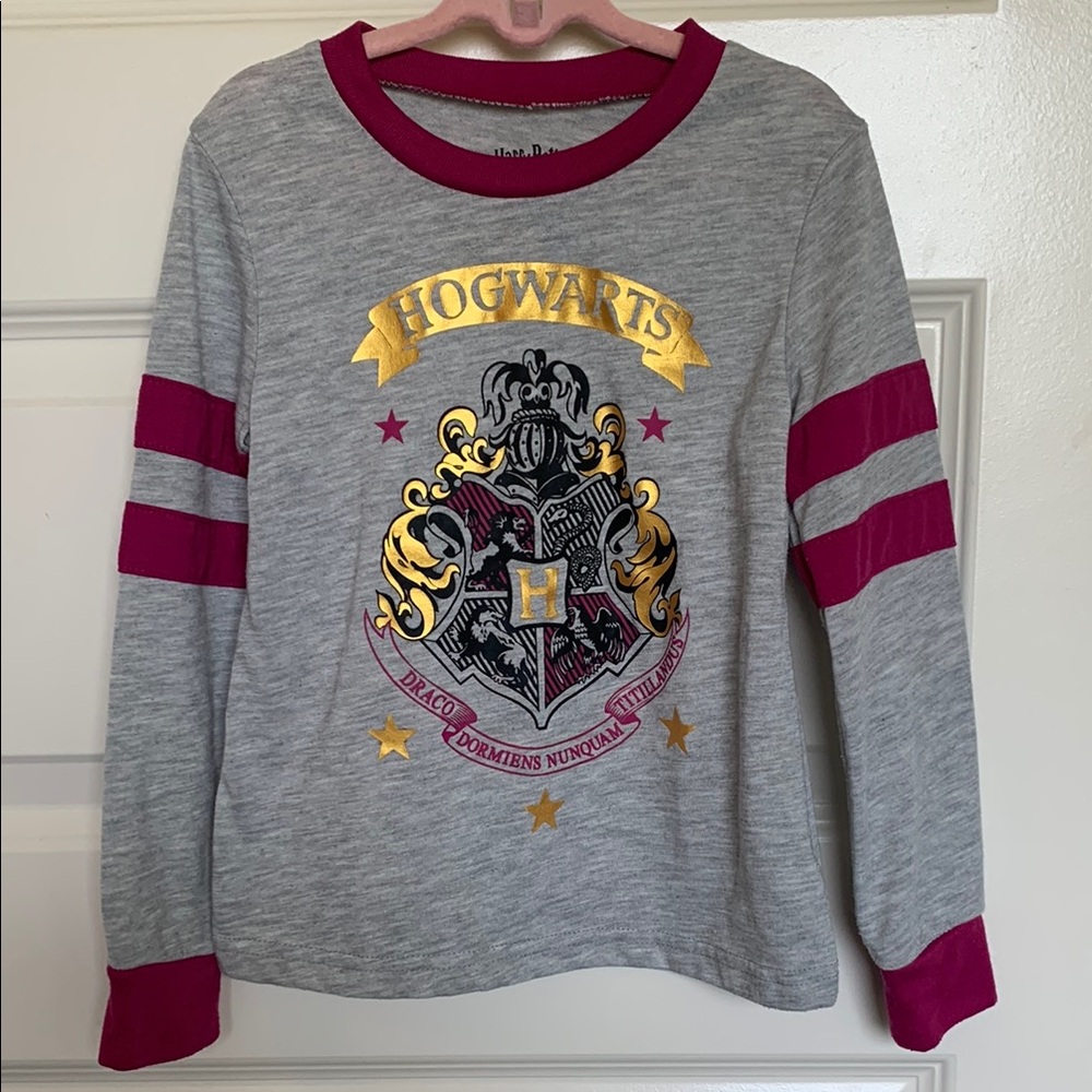 Warner Bros Gray and Magenta Hogwarts Long Sleeve Tee